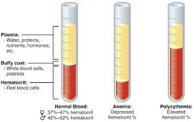 plasma serum difference between lorecentral july am