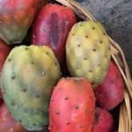Nopal, Tuna or Prickly Pears