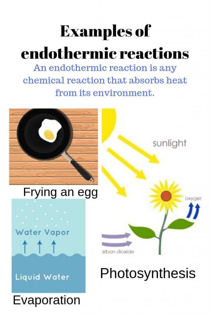 a good hypothesis for endothermic reaction